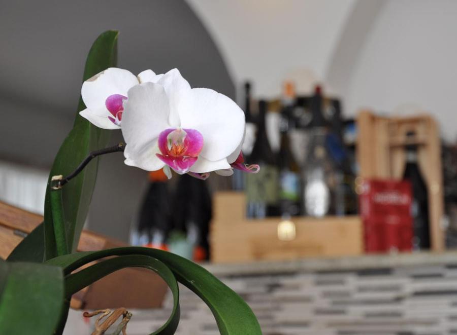 Hotel Torre Celle Ligure Ngoại thất bức ảnh